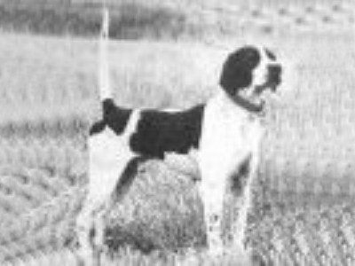 CH Hooks Bounty Hunter