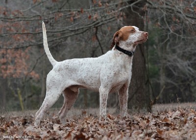 Nat CH Millers Dialing In