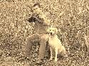 Daisy and  I